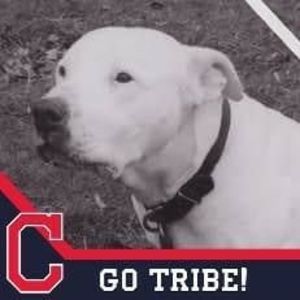 Meet your Posher, Gary